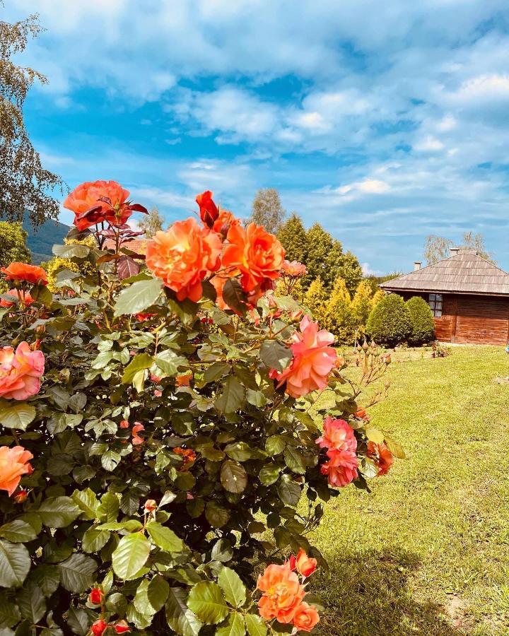 Отель Etno Selo Vranesa Zlatar Нова-Варош Экстерьер фото